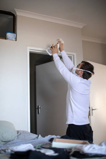 Best Mold Odor Removal Services  in Olympia, SC