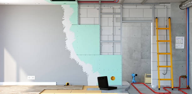 Olympia, SC Mold Removal Company