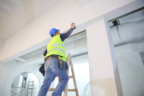 Best Mold Remediation for Vacation Homes  in Olympia, SC