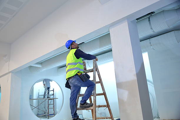 Best Water Damage & Mold Remediation  in Olympia, SC