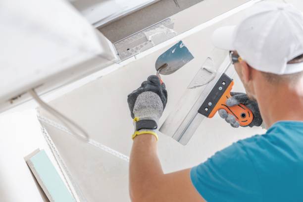 Best Crawl Space Mold Remediation  in Olympia, SC